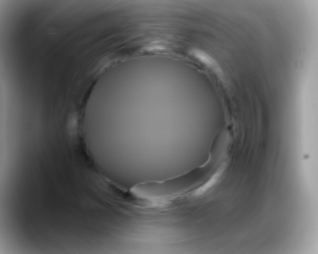 X0000088201353200705292024