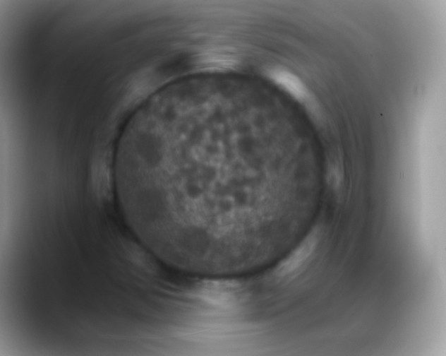 X0000088201354200705292024