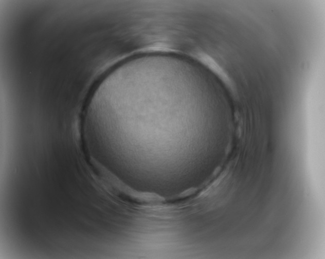 X0000088201356200705292024
