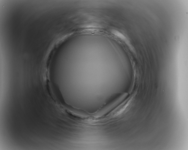 X0000088201357200705292024