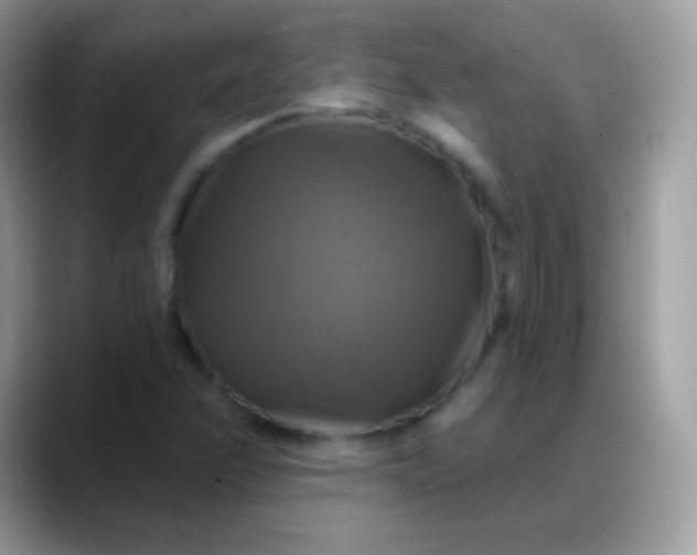 X0000088201358200705292024