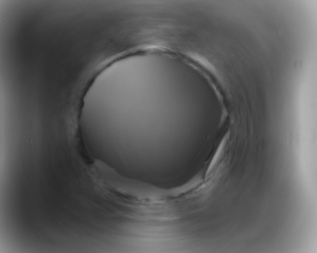 X0000088201359200705292024