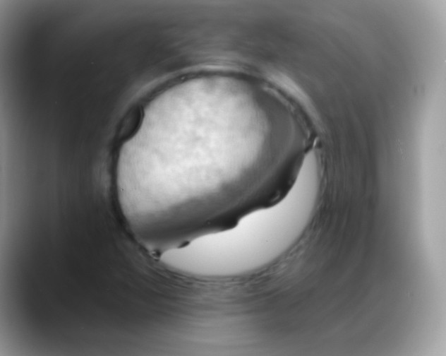 X0000088201360200705292024