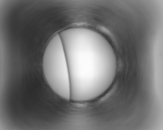 X0000088201361200705292024