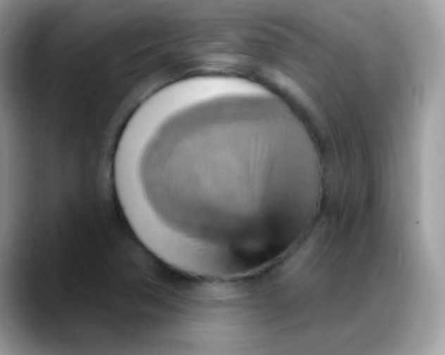 X0000088201362200705292024