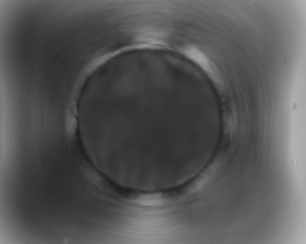 X0000088201363200705292024