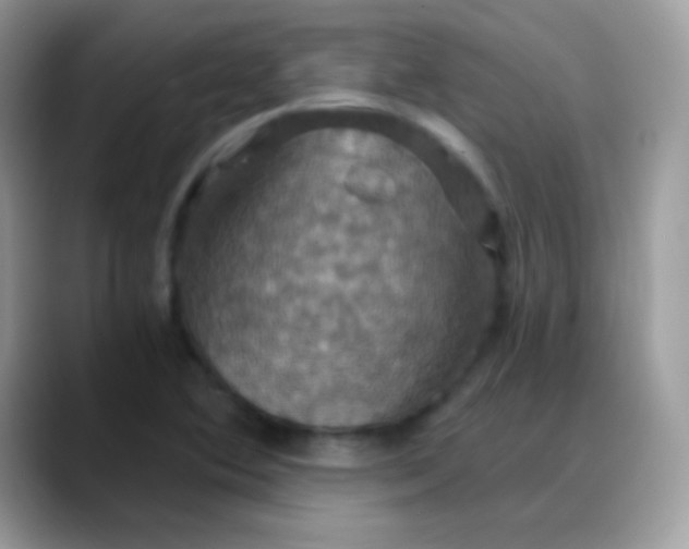 X0000088201364200705292024