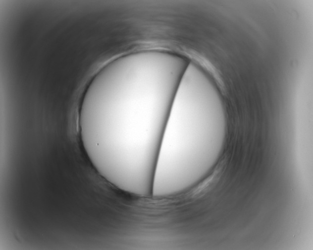 X0000088201365200705292024