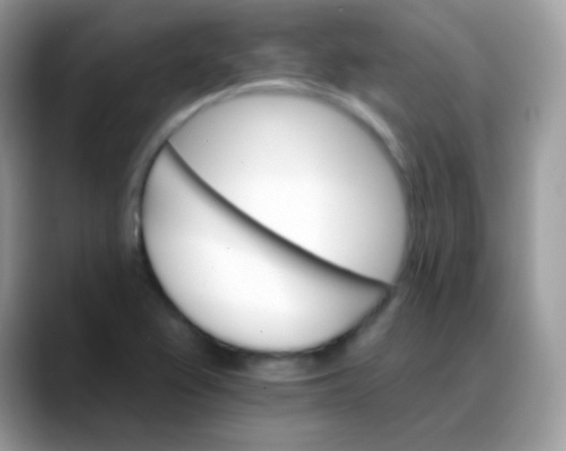 X0000088201367200705292024