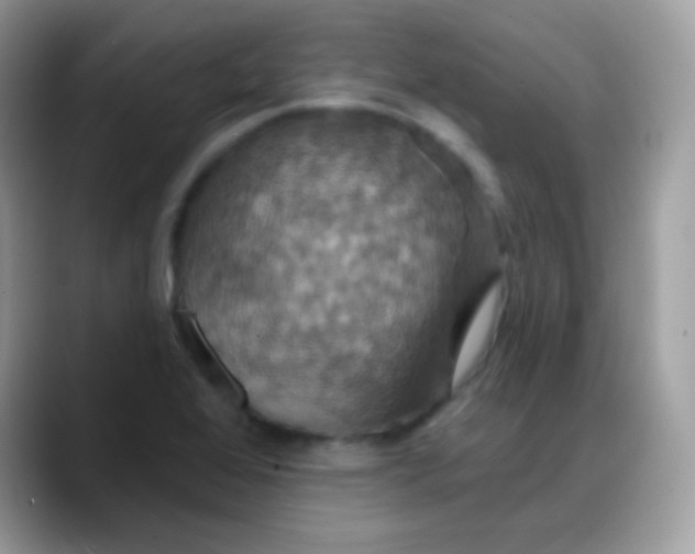 X0000088201368200705292024