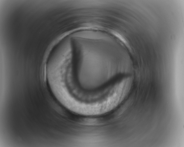 X0000088201371200705292024