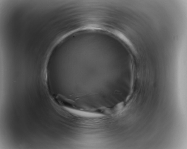 X0000088201372200705292024