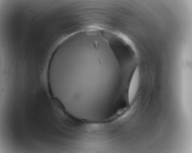 X0000088201373200705292024