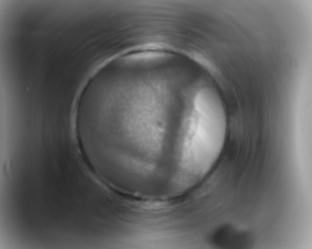 X0000088201374200705292024