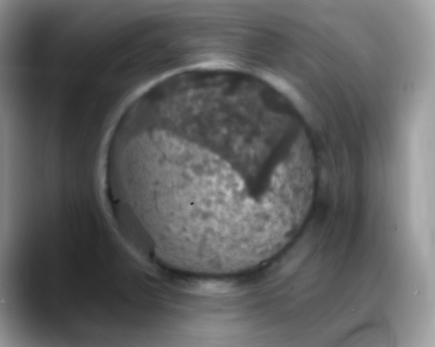 X0000088201375200705292024
