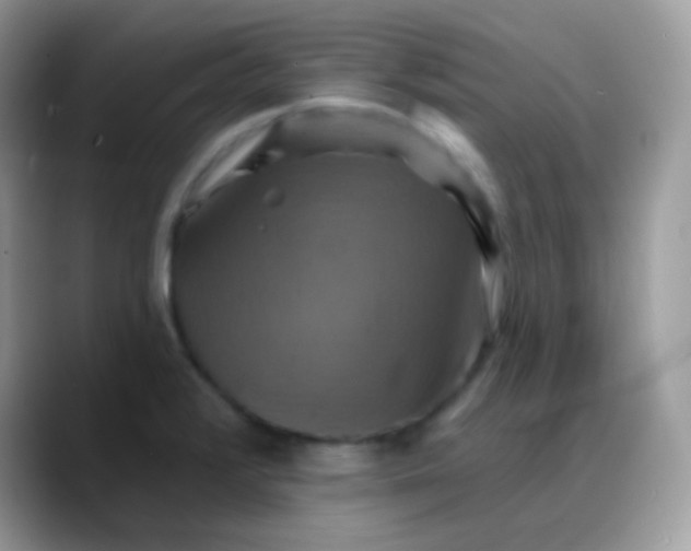 X0000088201376200705292024