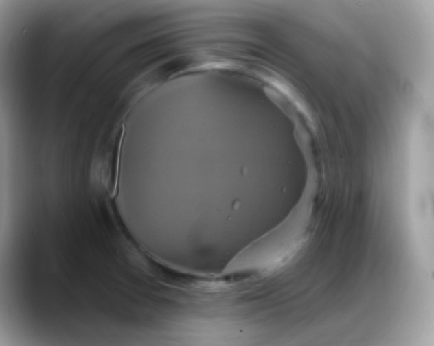 X0000088201377200705292023