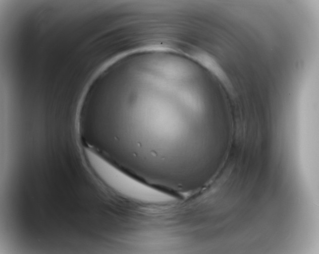 X0000088201380200705292023