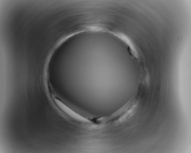 X0000088201381200705292023