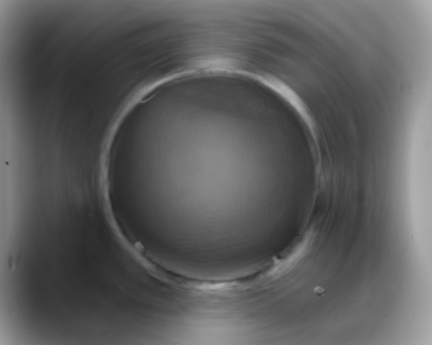 X0000088201389200705292023