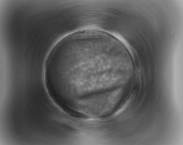 X0000088201390200705292023