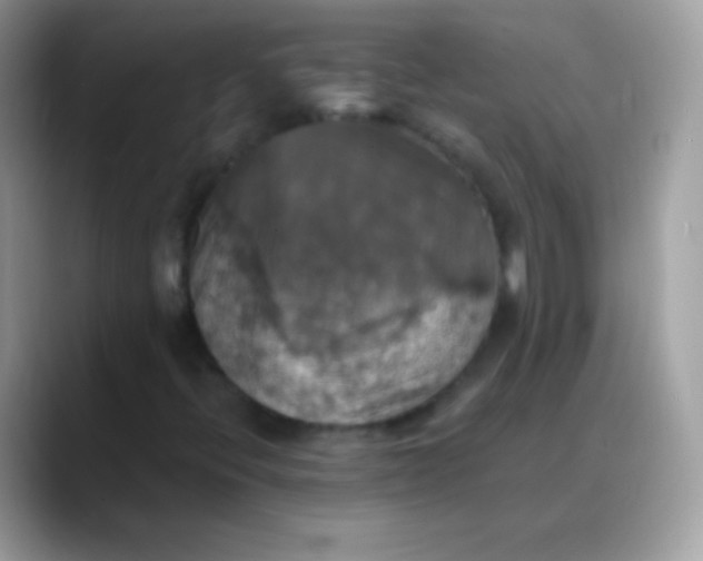 X0000088201396200705292023