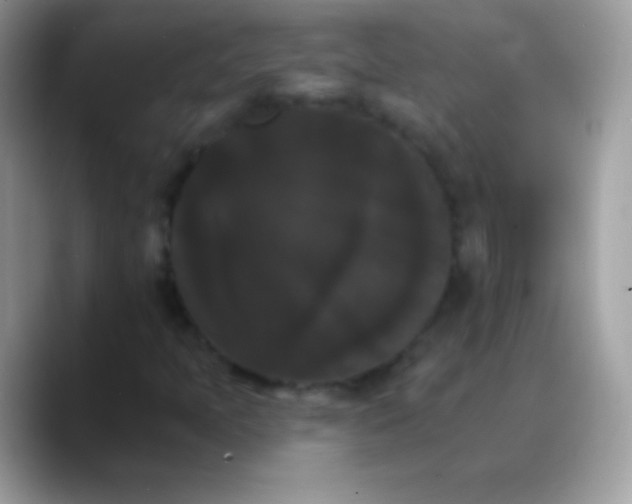X0000088201397200705292023
