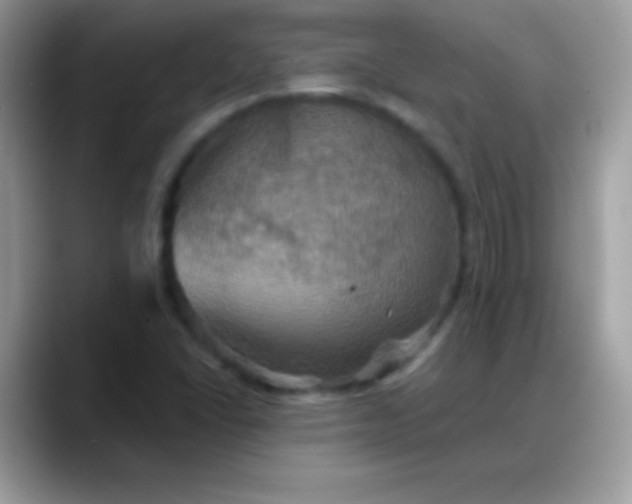 X0000088201406200705292023