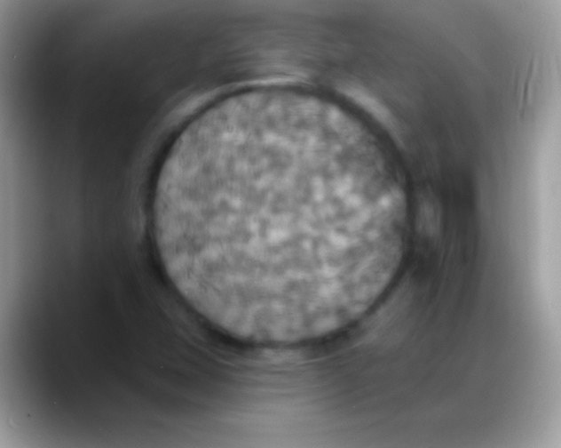 X0000088201407200705292023