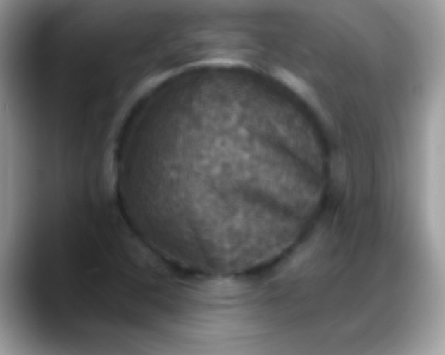 X0000088201408200705292023