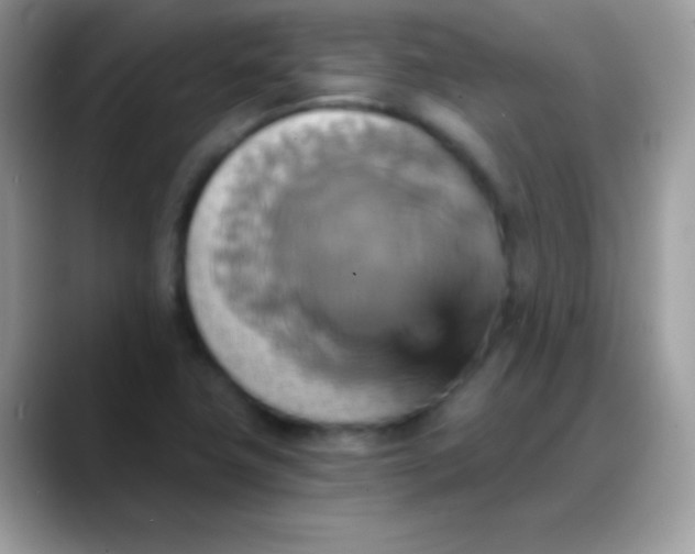 X0000088201411200705292023