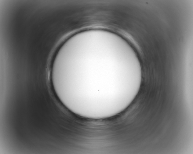 X0000088201416200705292023