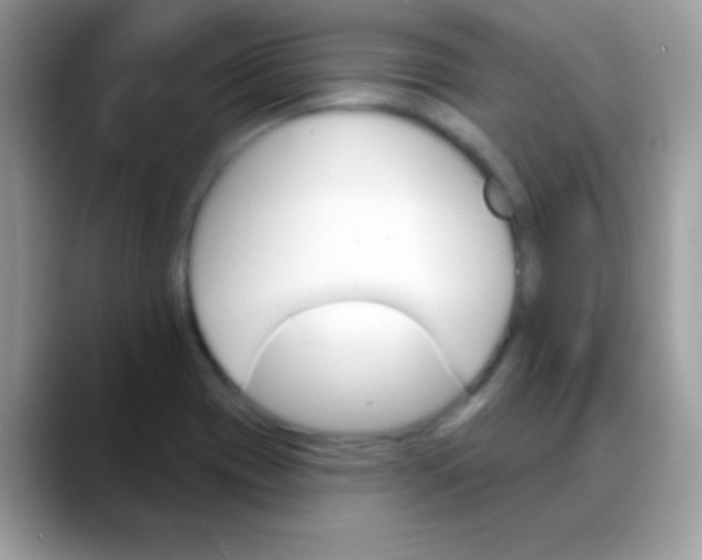 X0000088201417200705292023