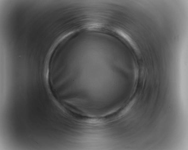 X0000088201418200705292023