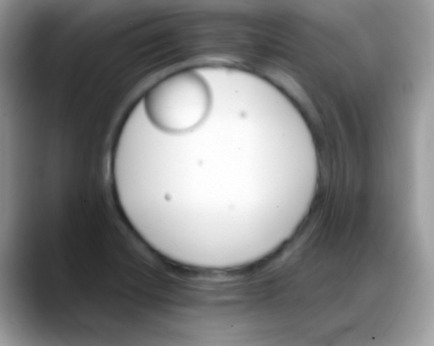 X0000088201420200705292023