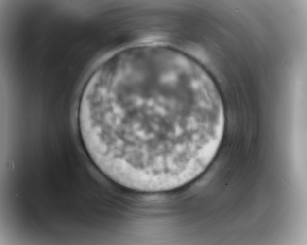X0000088201421200705292023