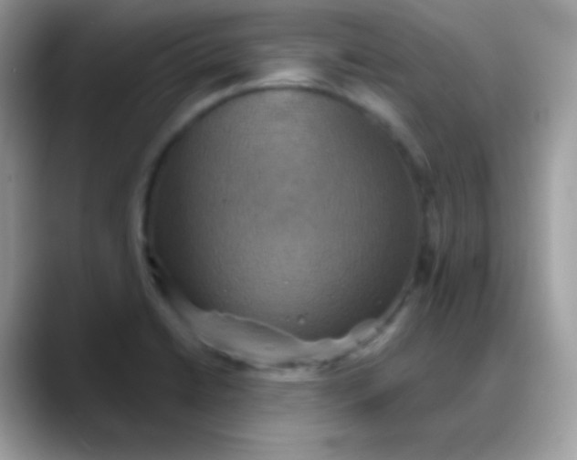 X0000088201422200705292023