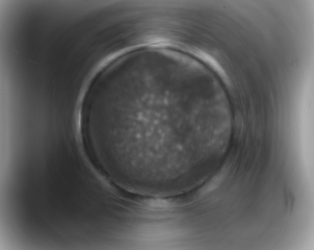 X0000088201424200705292023