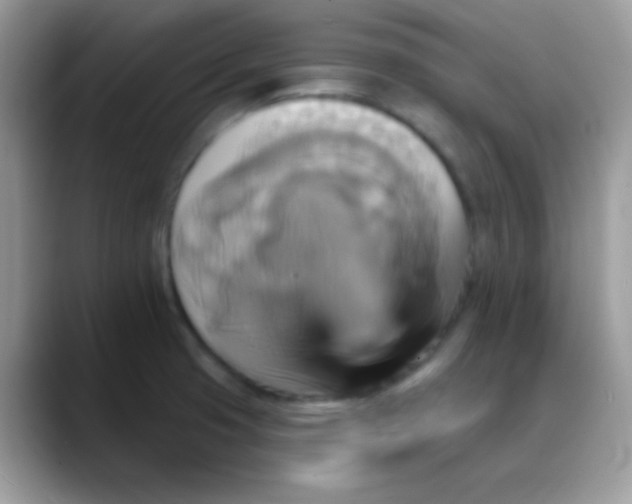 X0000088201425200705292023