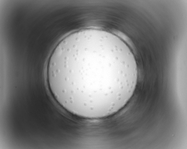 X0000088201431200705292023