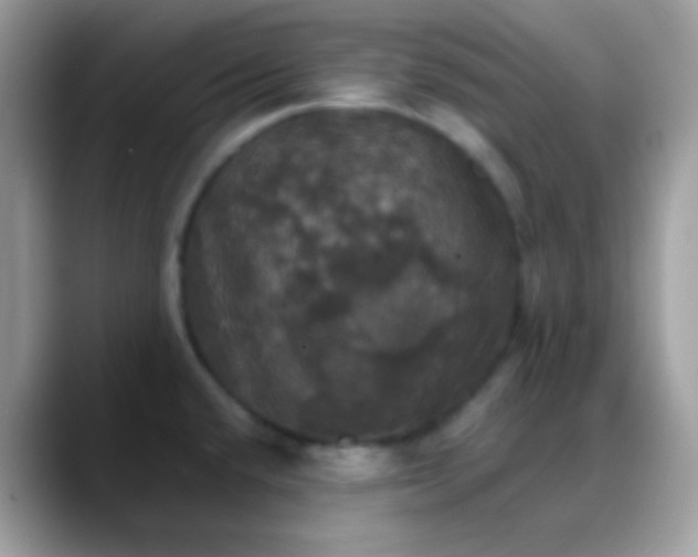 X0000088201432200705292023