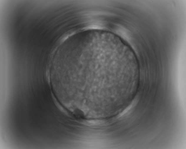 X0000088201433200705292023