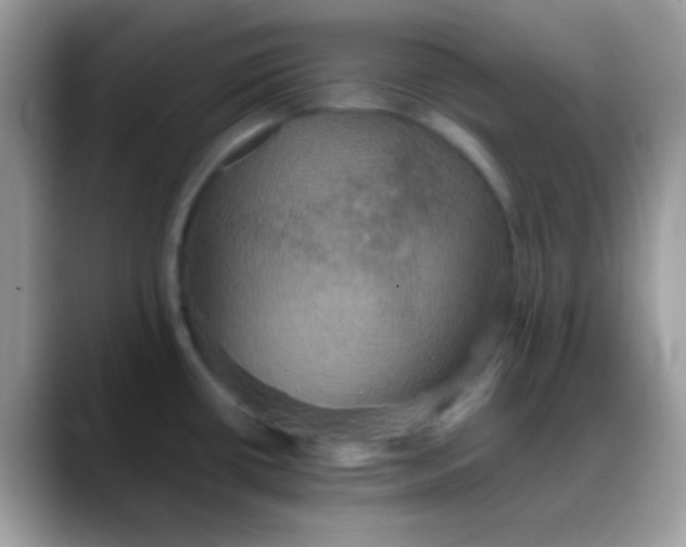 X0000088201434200705292023
