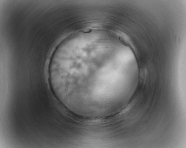 X0000088201435200705292023