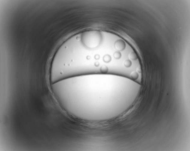 X0000088201437200705292023