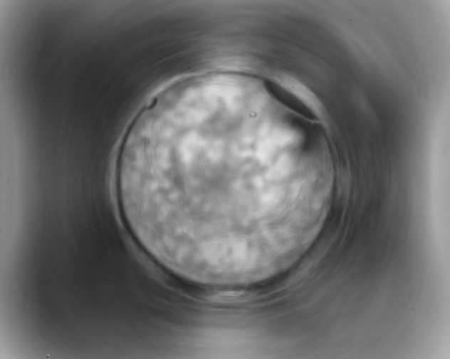 X0000088201439200705292023