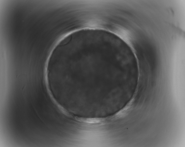 X0000088201440200705292023