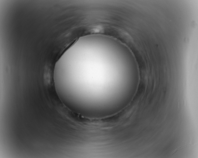 X0000088201442200705292023