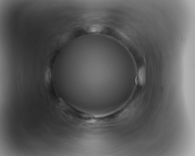 X0000088201443200705292023