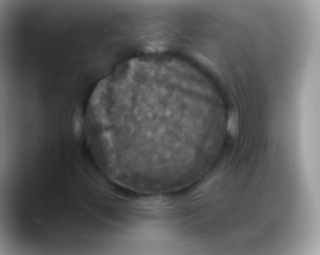 X0000088201444200705292023